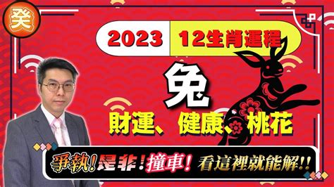 2023年生肖運程兔 問感情怎麼問